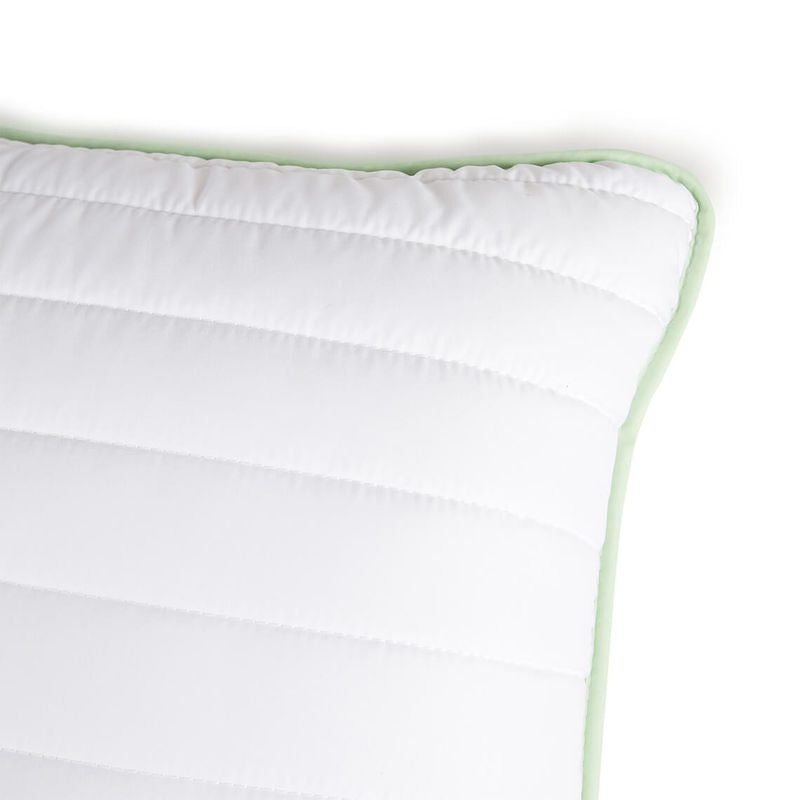 Pillow Comco Aloe Vera 50x70 CM